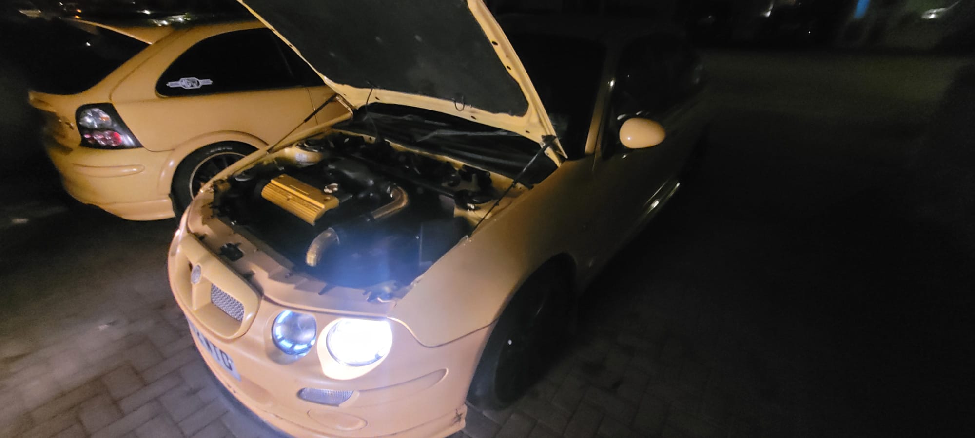 Driveway Bonnet